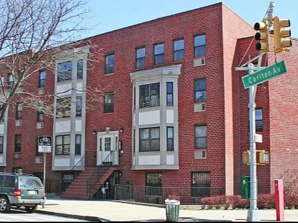 419 Carlton Avenue image 3 of 7