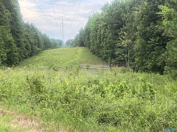 4th image of 2235 County Road 39
