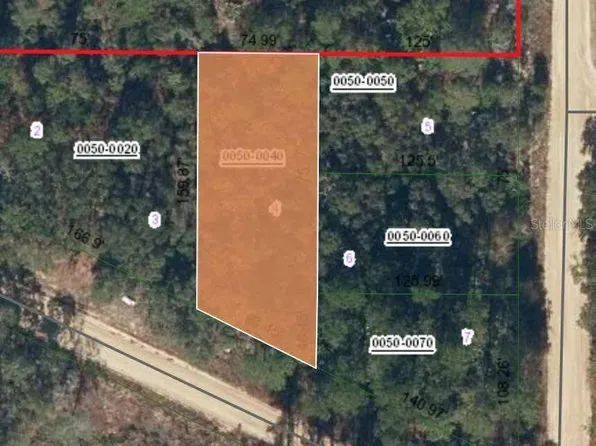Xx Terrel St, Interlachen, FL 32148