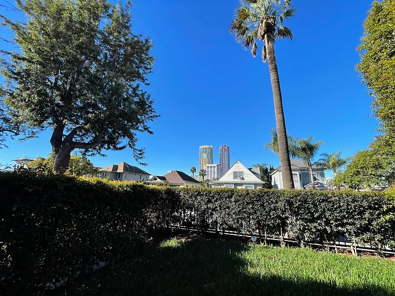 Front yard views