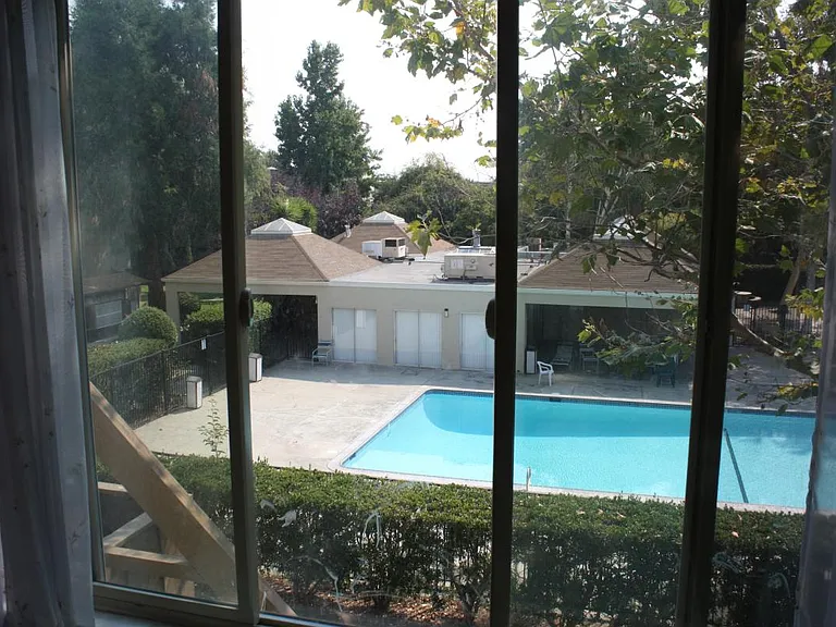 pool view