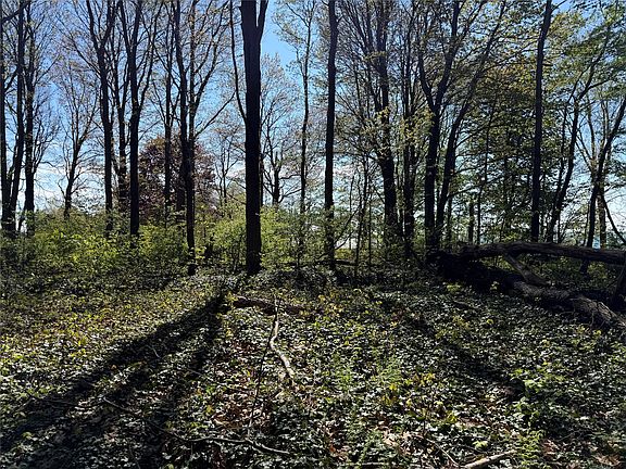 5th image of 0 E Lake Rd