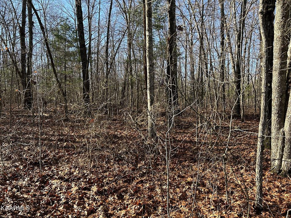 1st image of 0 Shotgun Annie Rd Lot 12