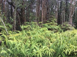 Road 2 LOT 2890, Mountain View, HI 96771