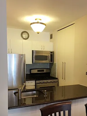 Rented by Furumoto Realty of New York City Inc | media 4