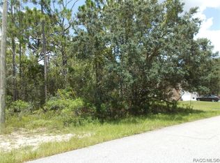 3029 W Viking Ln, Citrus Springs, FL 34433