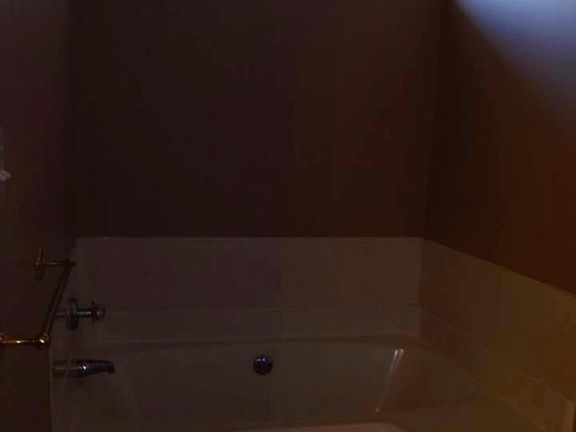 3rd image of 14205 Southbridge Forest Dr