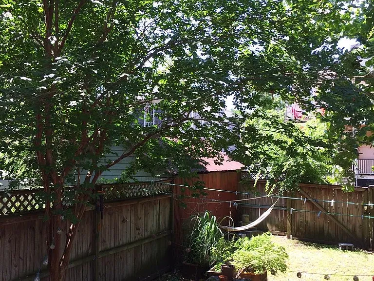 corner of backyard