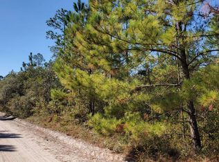 0 SW Prine County Line Rd, Lee, FL 32059