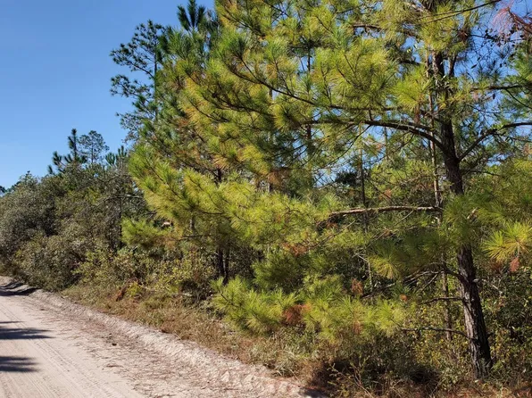 0 SW County Line Rd, Lee, FL 32059