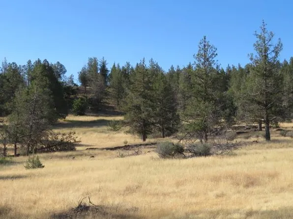 U 4 Whitepine St Lot 28, Hornbrook, CA 96044