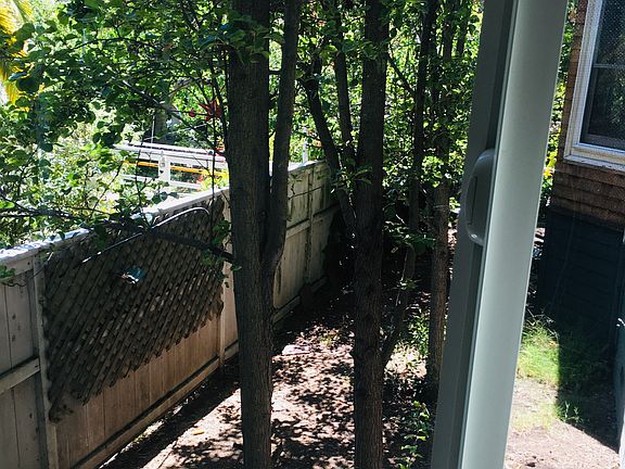 side yard view facing South and full of green and light