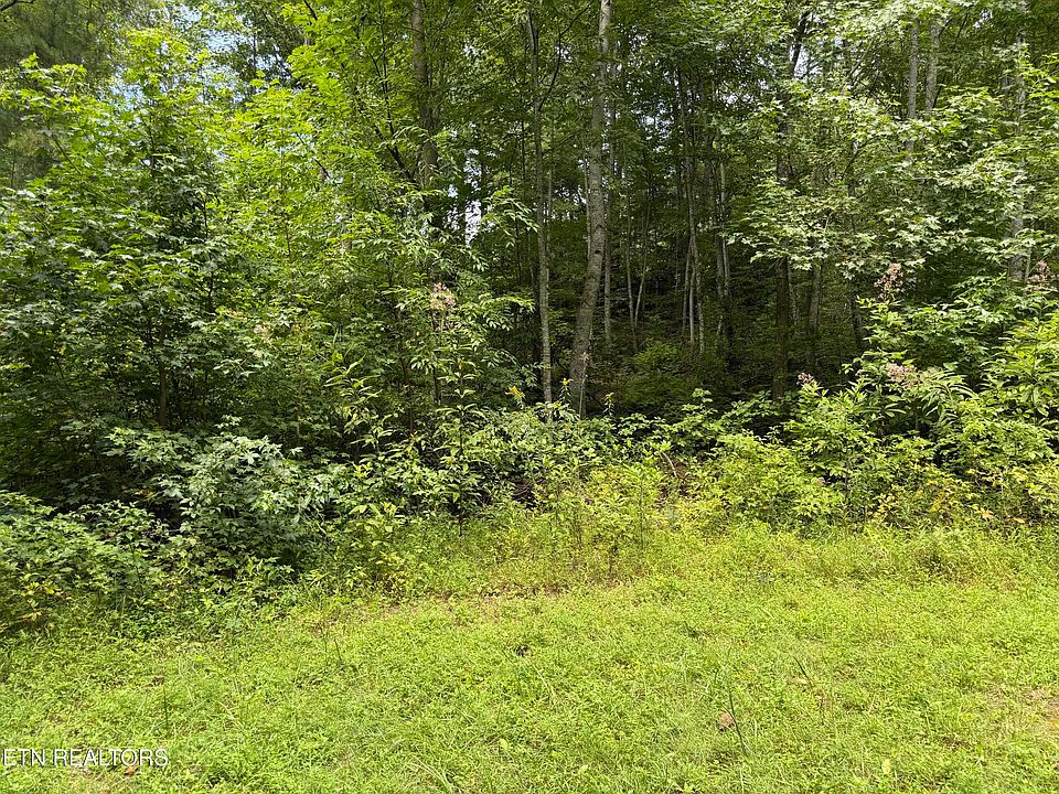 1st image of Coy Rhea Way Lot 3-D