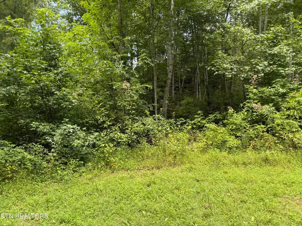 Coy Rhea Way Lot 3-D, Sevierville, TN 37876