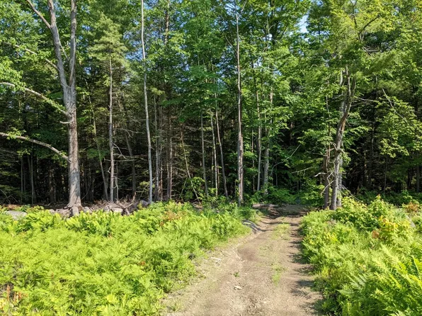 0 Purcell and Fullam Pond Road, Winchester, NH 03470