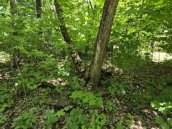 2nd image of LOT 309 197th Ave