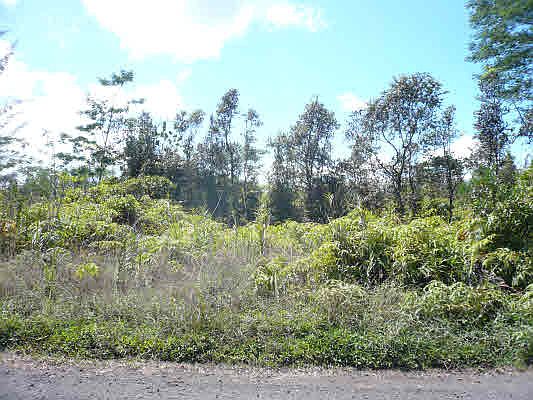 1st image of 23rd Ave Lot 212