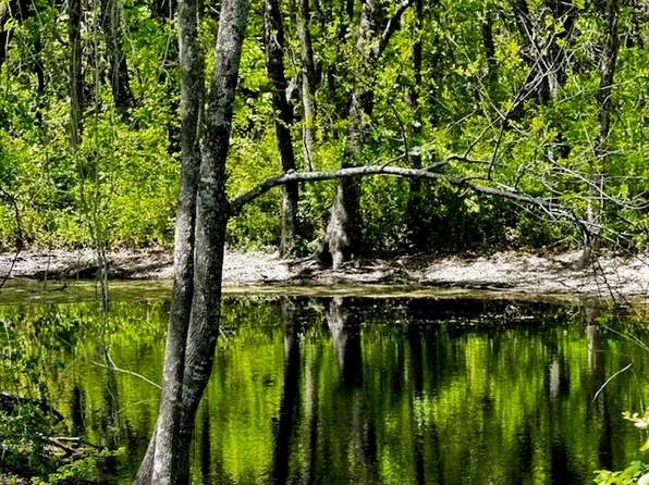 0 County Road 1204, Blue Ridge, TX 75424