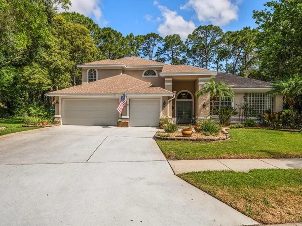 2339 Warwick Dr, Oldsmar, FL 34677