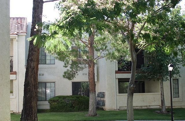 1st image of 2554 Olive Dr APT 105