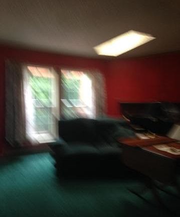 3rd image of 1012 Woodhaven Dr