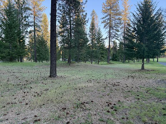 5th image of 197 E Trappers Loop