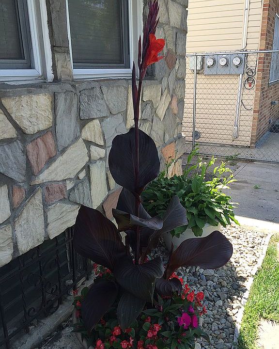 2nd image of 751 Warwick St