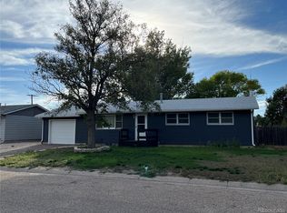 131 Hollowell Street, Burlington, CO 80807