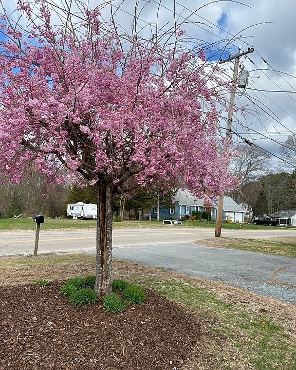 37 Phillips St, Attleboro, MA 02703 Zillow