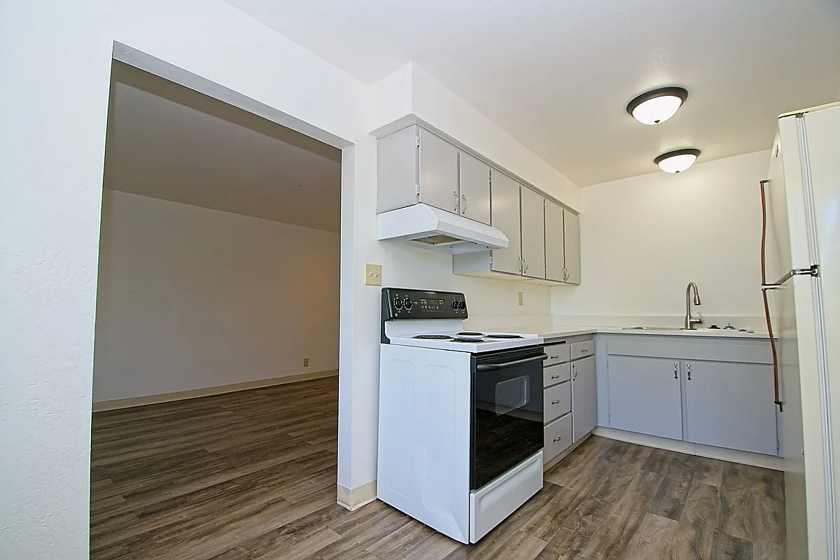 1 bed, 500 sqft, $1,095 — Photo 4