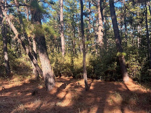 3rd image of 43 Pine Lodge Dr