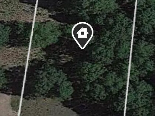 9503 W McFall Lake Dr, Branch, MI 49402