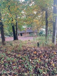 284 Edd Raines Rd, Sugar Tree, TN, 38380