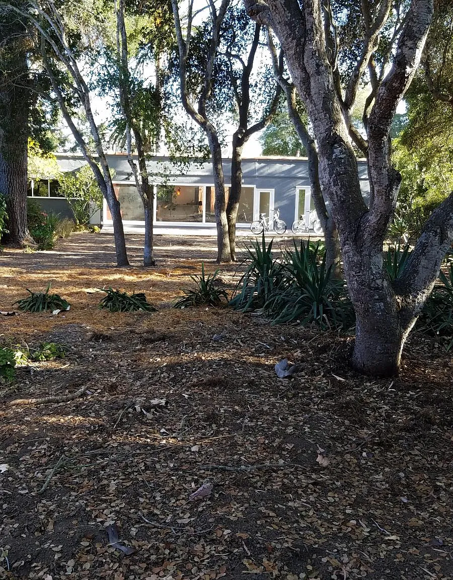 3 bed, 1516 sqft, $10,000 — Photo 3