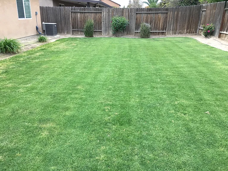 11404 Eresma Dr — Photo 25