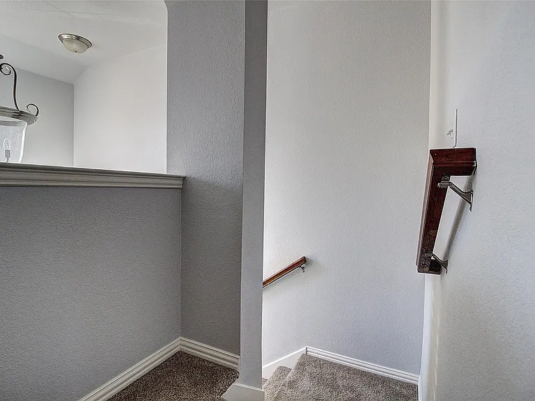 8017 Caladium Dr — Photo 8