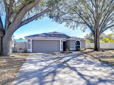 1732 Tinker Dr, Lutz, FL, 33559