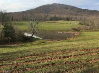 6851 Kenimer Rd, Clermont, GA 30527