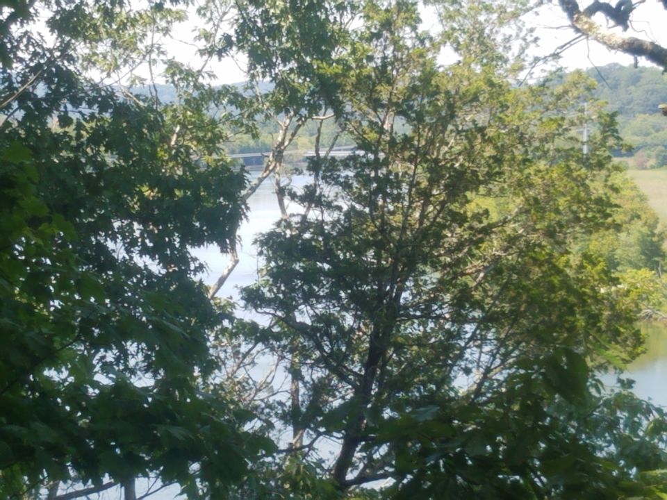 2nd image of Rays Gap Rd #20
