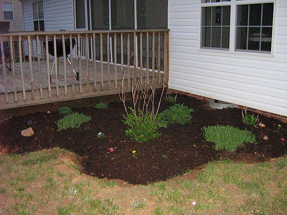 back landscaping