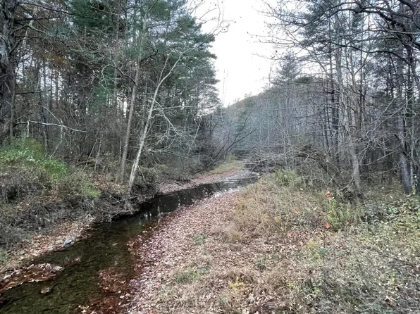 Pocahontas Trl, White Sulphur Springs, WV 24986