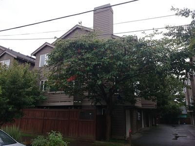 201 27th Ave S #201, Seattle, WA, 98144