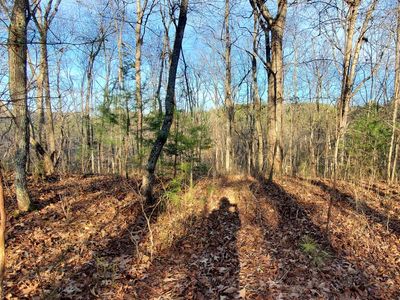 1905 Finale St, Talking Rock, GA, 30175