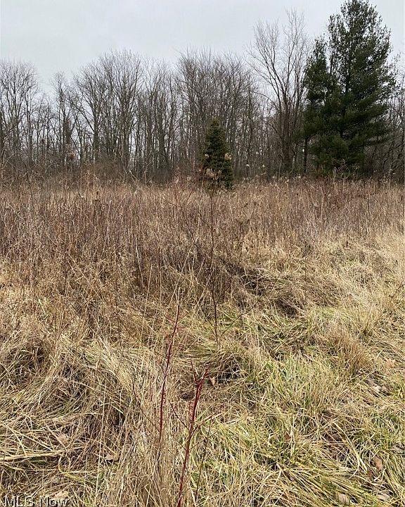 2nd image of 407 Township Rd #581