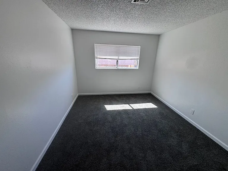 5245 Golden Ln — Photo 19