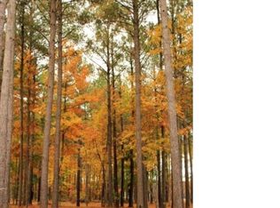 3901 Sienna Trl, New Bern, NC 28562