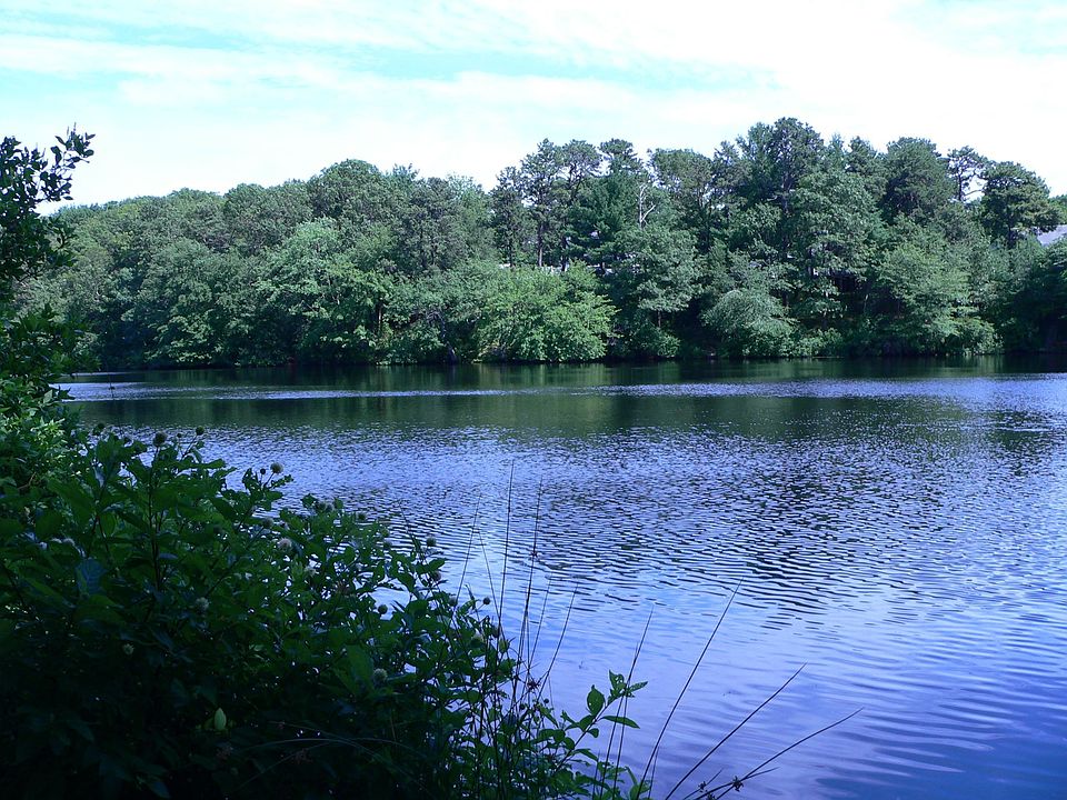 Sam's Pond from shoreline on property