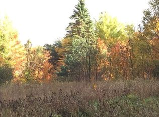 3165 Hedrick Rd, Harbor Springs, MI 49740