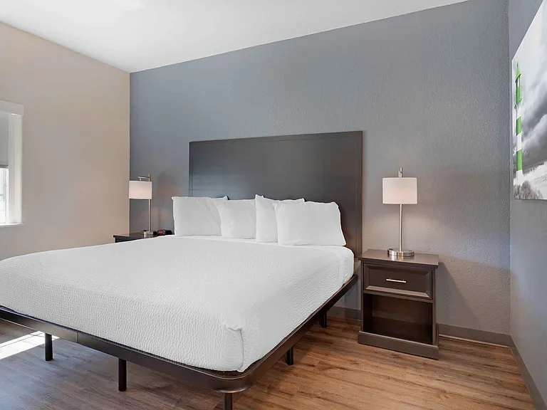 1 Bedroom Suite - 1 King Bed
