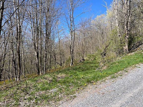 4th image of 15 Hawthorne Ridge Rd